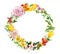 Floral wreath - blooming flowers, field grass. Watercolor round border