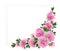 floral wreath, floral arrangement of pink lush peonies, isolated
