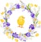 Floral wreath with pretty chicken, daffodils and violet crocuses. Greeting template for festive cards, posters, Easter