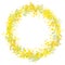 Floral wreath with yellow mimosa. Greeting template for festive cards, posters, Easter announcements