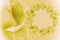 Floral yellow-white beautiful background. Flower composition. Frame of yellow flowers roses on light background. Rose clos