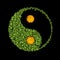 Floral yin yang symbol, harmonies icon