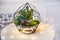 Florarium - composition of succulents, stone, sand and glass, element of interior, home decor