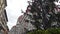 Florence Cathedral with Christmas tree and dove flying