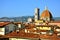 Florence city view from above