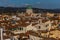 Florence cityscape panorama on the Synagogue and the characteristic roofs and terraces, Tuscany, Italy