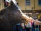 FLORENCE, ITALY - Jul 05, 2019: Fontana del Porcellino, a bronze boar rubbed by thousands of hands for luck