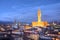 Florence skyline - Palazzo Vecchio, Italy