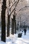 Florence after a snowfall in December. snowy trees at the piazzale Michelangelo.