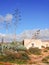 Florescences of agave plants in front of old canarian houses, Fuerteventura