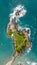 Florianopolis, Armacao beach, aerial view. Santa Catarina