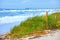 Florida Beach grass dunes and waves during storm