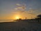 Florida birds gulf beach marsh wildlife preserve sunset