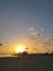 Florida birds gulf beach marsh wildlife preserve sunset