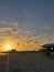 Florida birds gulf beach marsh wildlife preserve sunset