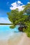Florida bonita Bay beach mangrooves US