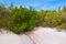 Florida bonita Bay beach mangrooves US