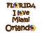 Florida cities decorated with leopard print and decorated with a sunflower flower with the USA flag. Fashionable design