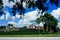 Florida cloud and tree