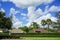 Florida cloud and tree