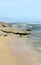 Florida Coquina Sand and Rock Beach
