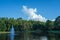 Florida elephant like cloud and tree