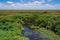 Florida Everglades Landscape