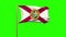 Florida flag waving in the wind. Green screen