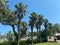 Florida gulf of mexico coast with luxury expensive apartment condominium condo building with palm trees in sunny summer