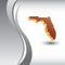 Florida icon vertical silver wave