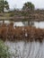 Florida kayak marsh bird gulf coast preserve