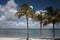 Florida Keys Palms and Bay 7
