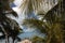 Florida Keys Palms and Dock