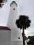 Florida lighthouse palm tree overcast