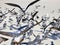 Florida, Madeira beach, colonies of sea birds gathered on the beach