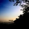 Florida Mangroves Sunset