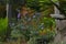 Florida native flower garden, red salvia, spiderwort, coriopsis, coontie cycad and more