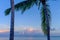 Florida Palm trees and a perfect sunrise
