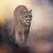 Florida panther or cougar painting