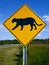 Florida Panther Crossing