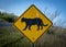 Florida Panther Crossing Sign