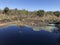 Florida Paynes Prairie During Winter I