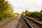 Florida railroad tracks