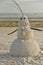 Florida snowman made out of sand celebrating tropical hot and happy new year