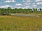 Florida Trail Marsh Land