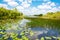 Florida wetland, Airboat ride at Everglades National Park in USA