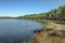 Florida Wetlands