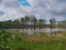 Florida wetlands before storm