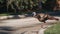 Florida Wild turkey crossing the road in Apopka, Florida