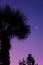 Floridian Sunrise moon